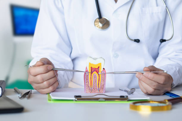 Best Holiday Emergency Dentist in Johnston, SC